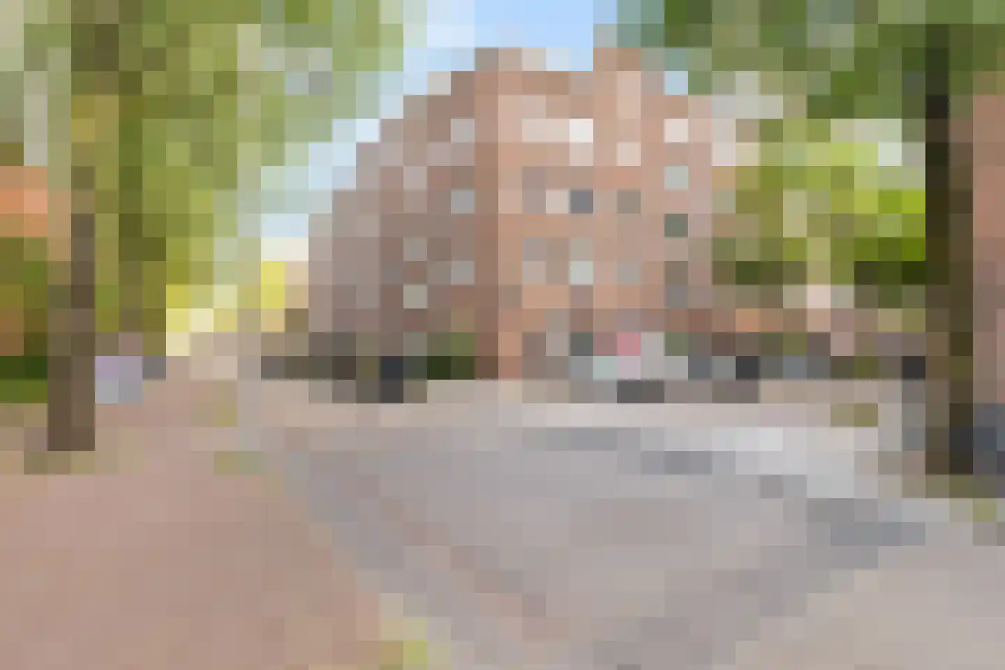 Van Hogendorpstraat 899 Amsterdam thumbnail 35