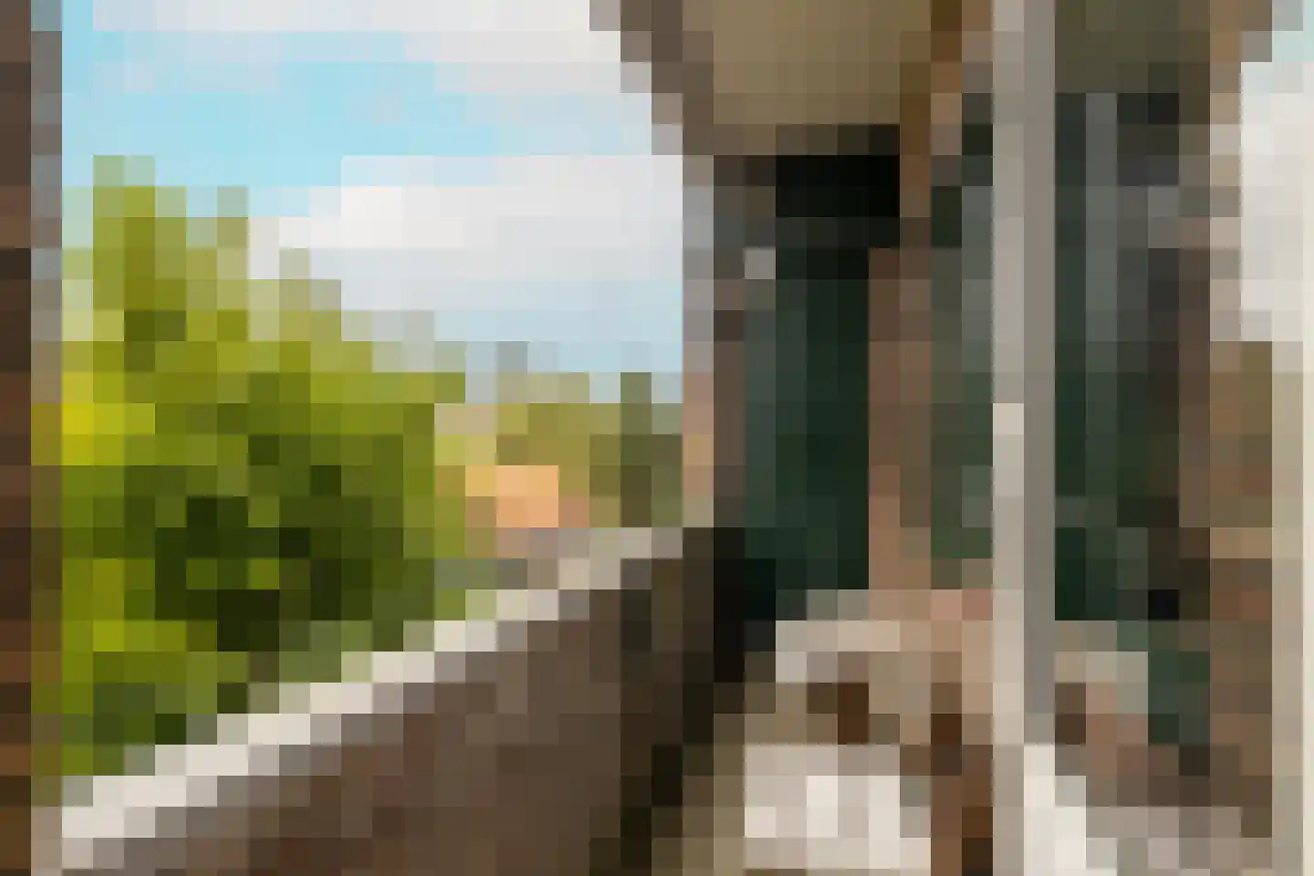 Van Hogendorpstraat 91 Den Haag thumbnail 10