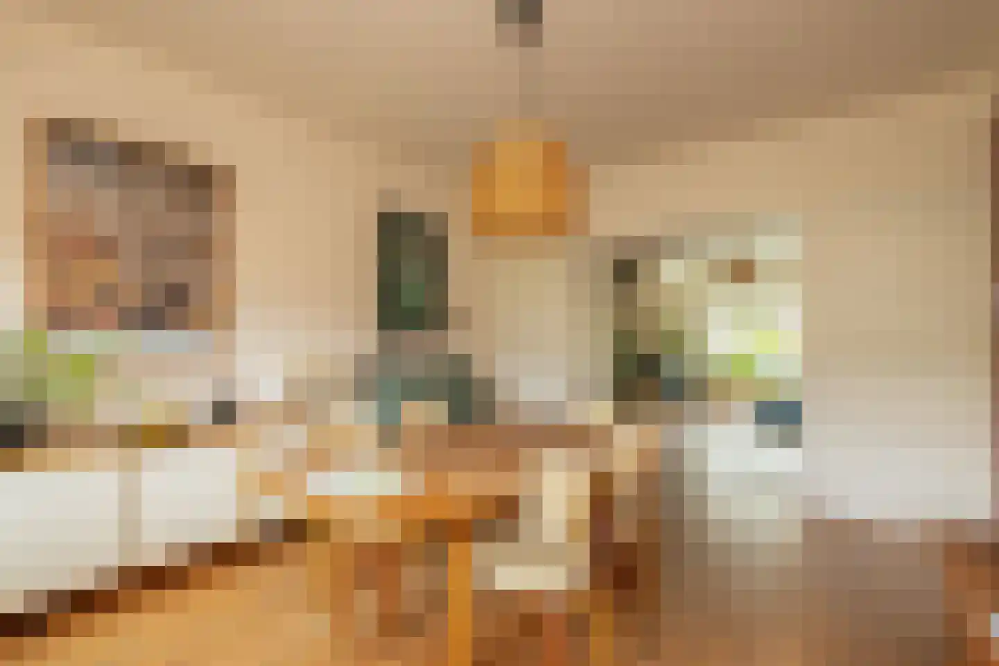 Van Hogendorpstraat 91 Den Haag thumbnail 13