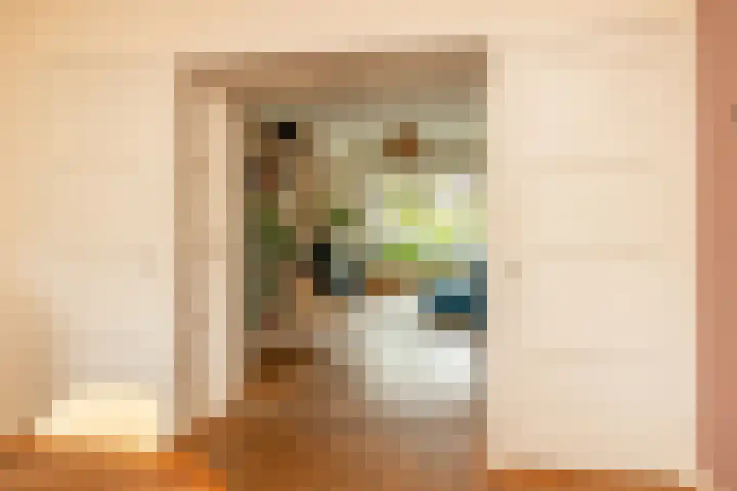 Van Hogendorpstraat 91 Den Haag thumbnail 14