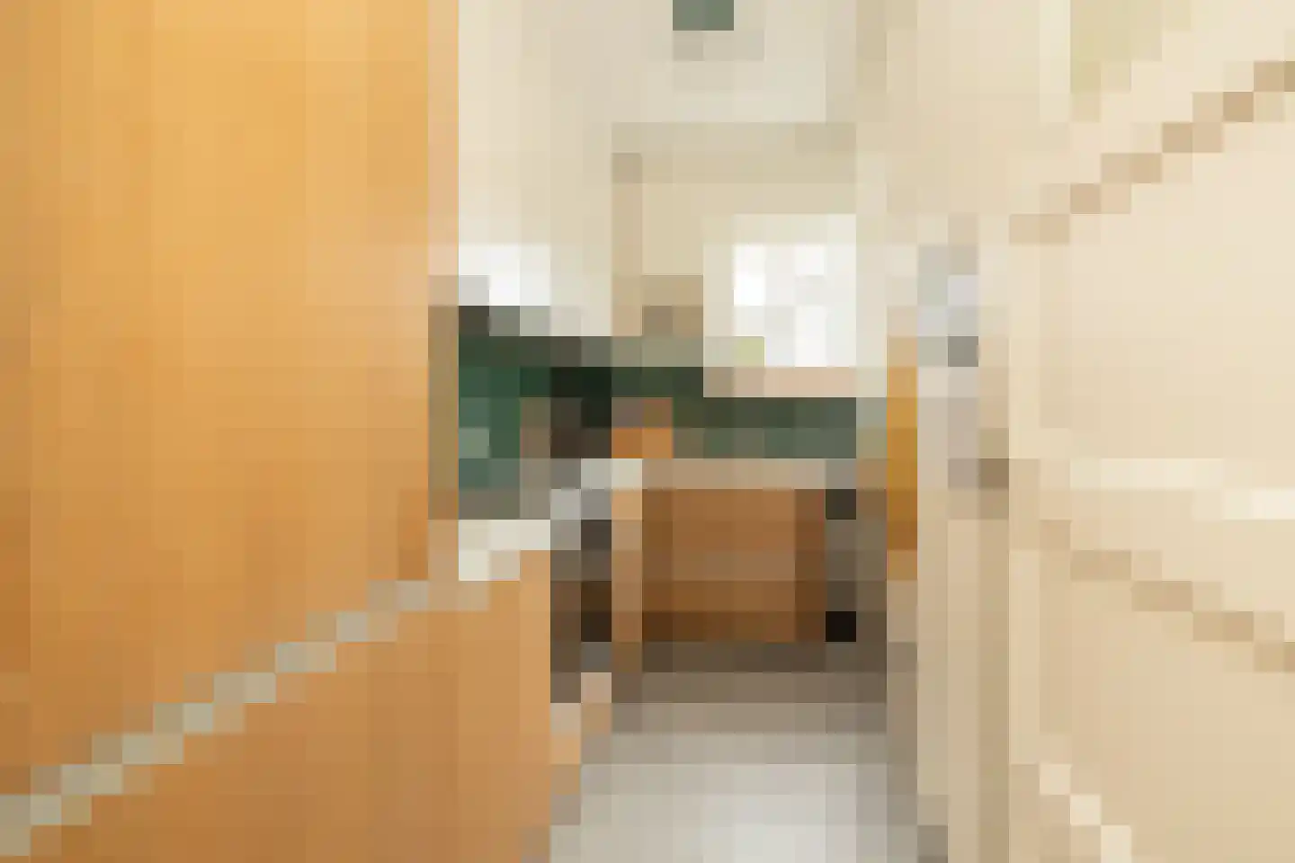 Van Hogendorpstraat 91 Den Haag thumbnail 16