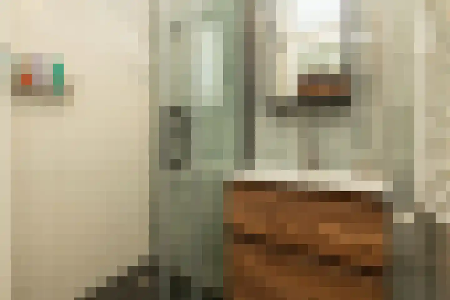 Van Hogendorpstraat 91 Den Haag thumbnail 19