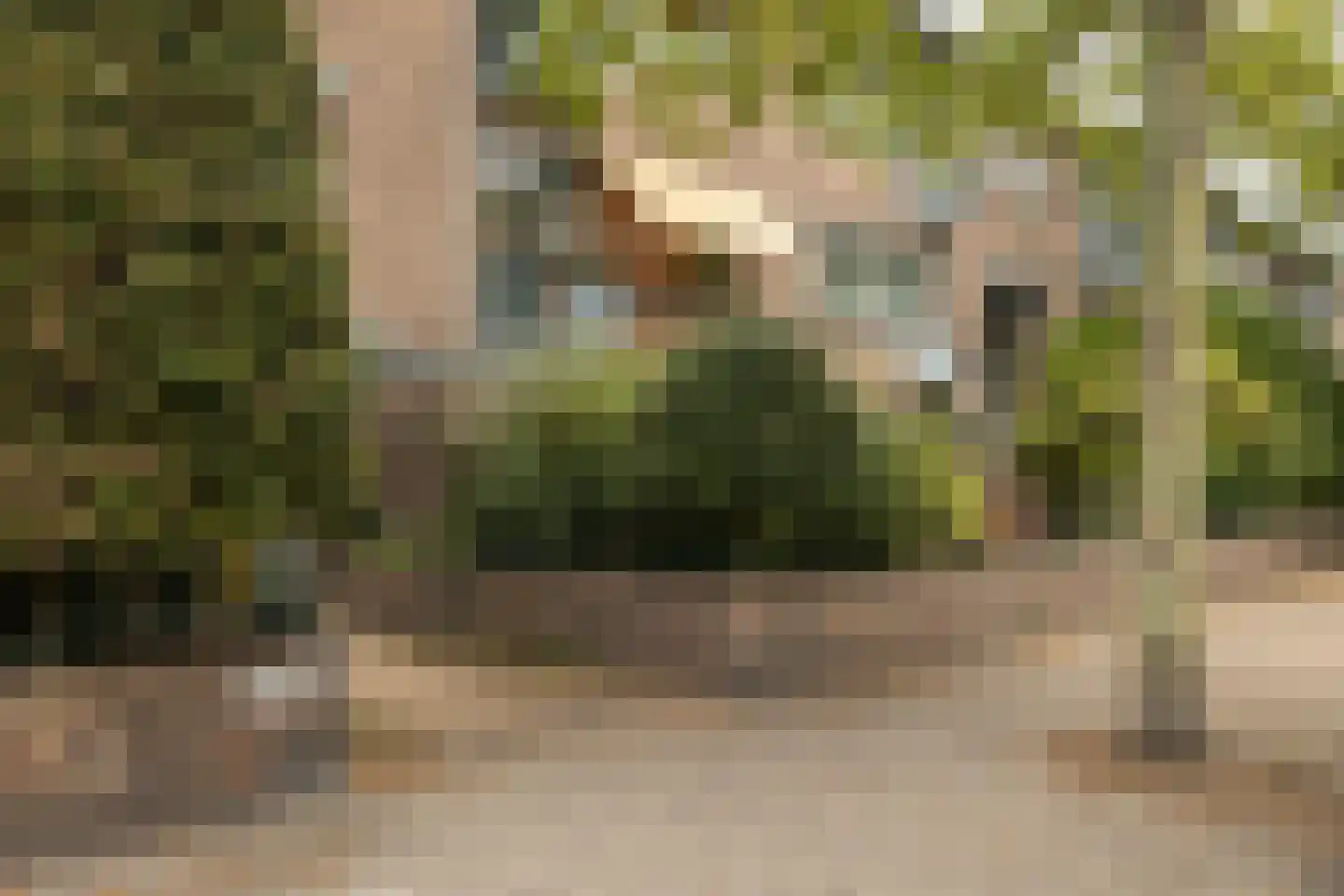 Van Hogendorpstraat 91 Den Haag thumbnail 37
