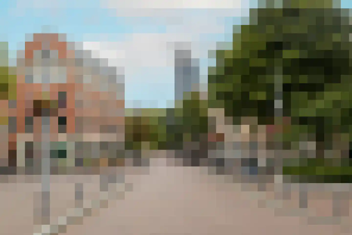 Van Hogendorpstraat 91 Den Haag thumbnail 43