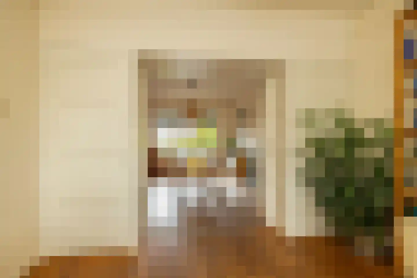 Van Hogendorpstraat 91 Den Haag thumbnail 6