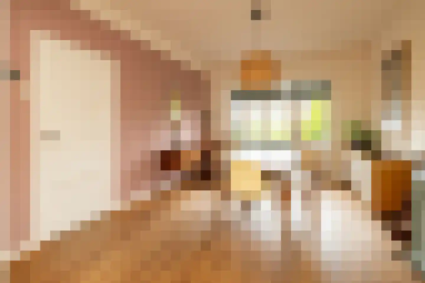 Van Hogendorpstraat 91 Den Haag thumbnail 9