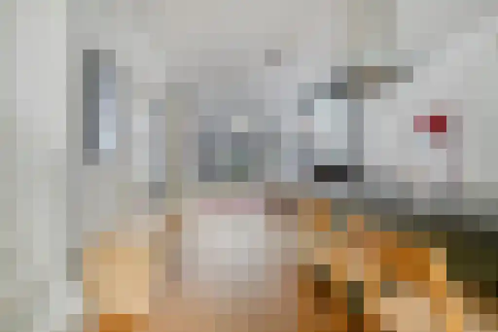 Van Hogendorpstraat 92 2 Amsterdam thumbnail 6