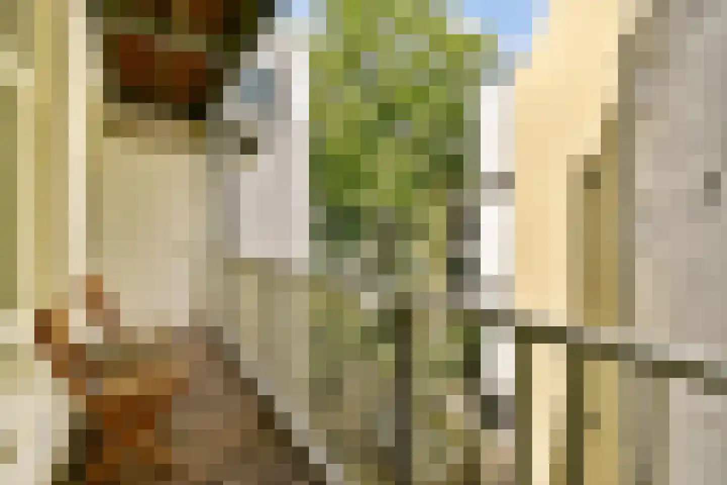 Van Hogendorpstraat 92 3 Amsterdam thumbnail 14