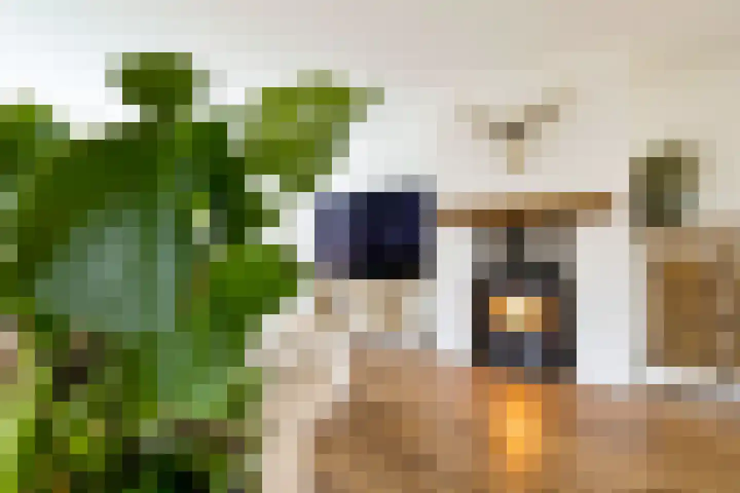 Van Hogendorpstraat 93 Tilburg thumbnail 13
