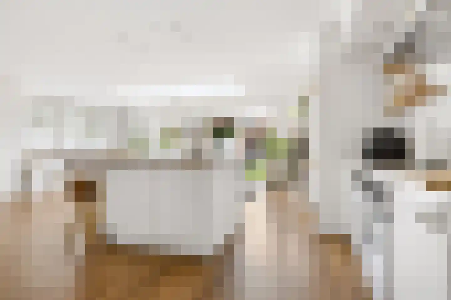 Van Hogendorpstraat 93 Tilburg thumbnail 15