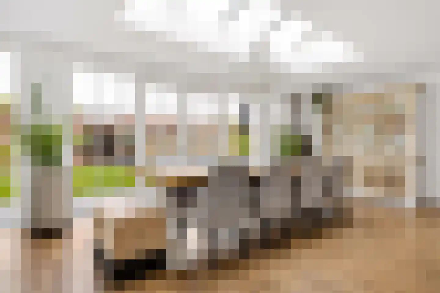 Van Hogendorpstraat 93 Tilburg thumbnail 17
