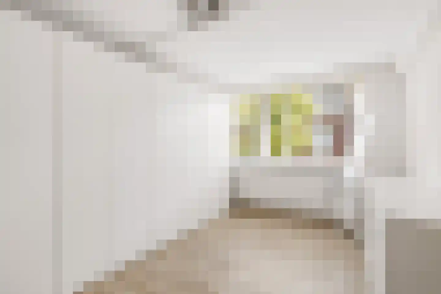 Van Hogendorpstraat 93 Tilburg thumbnail 22