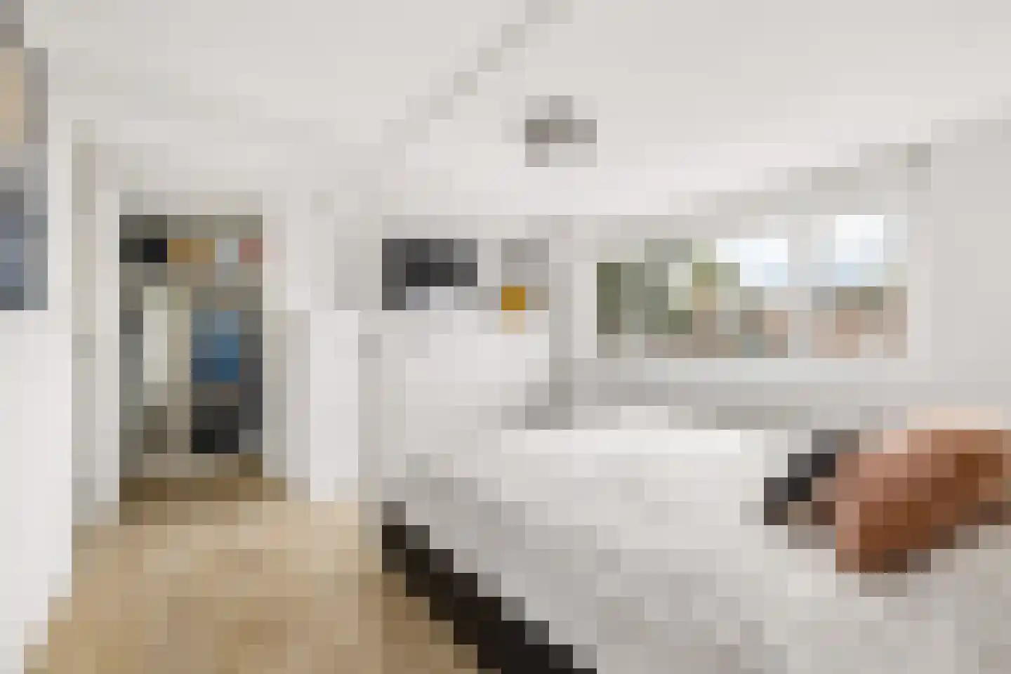 Van Hogendorpstraat 93 Tilburg thumbnail 28