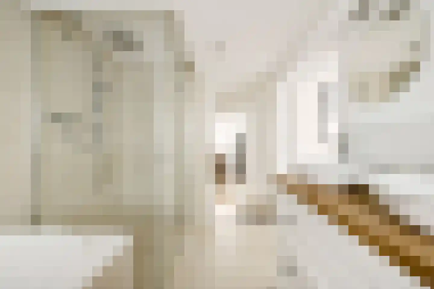 Van Hogendorpstraat 93 Tilburg thumbnail 32