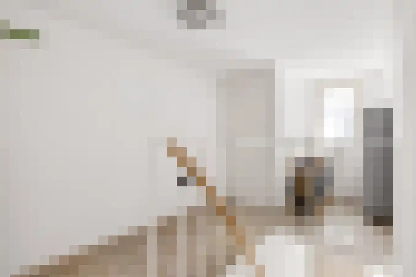 Van Hogendorpstraat 93 Tilburg thumbnail 37