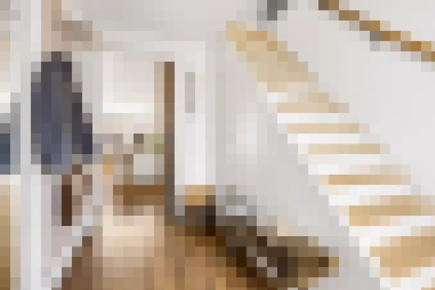Van Hogendorpstraat 93 Tilburg thumbnail 7