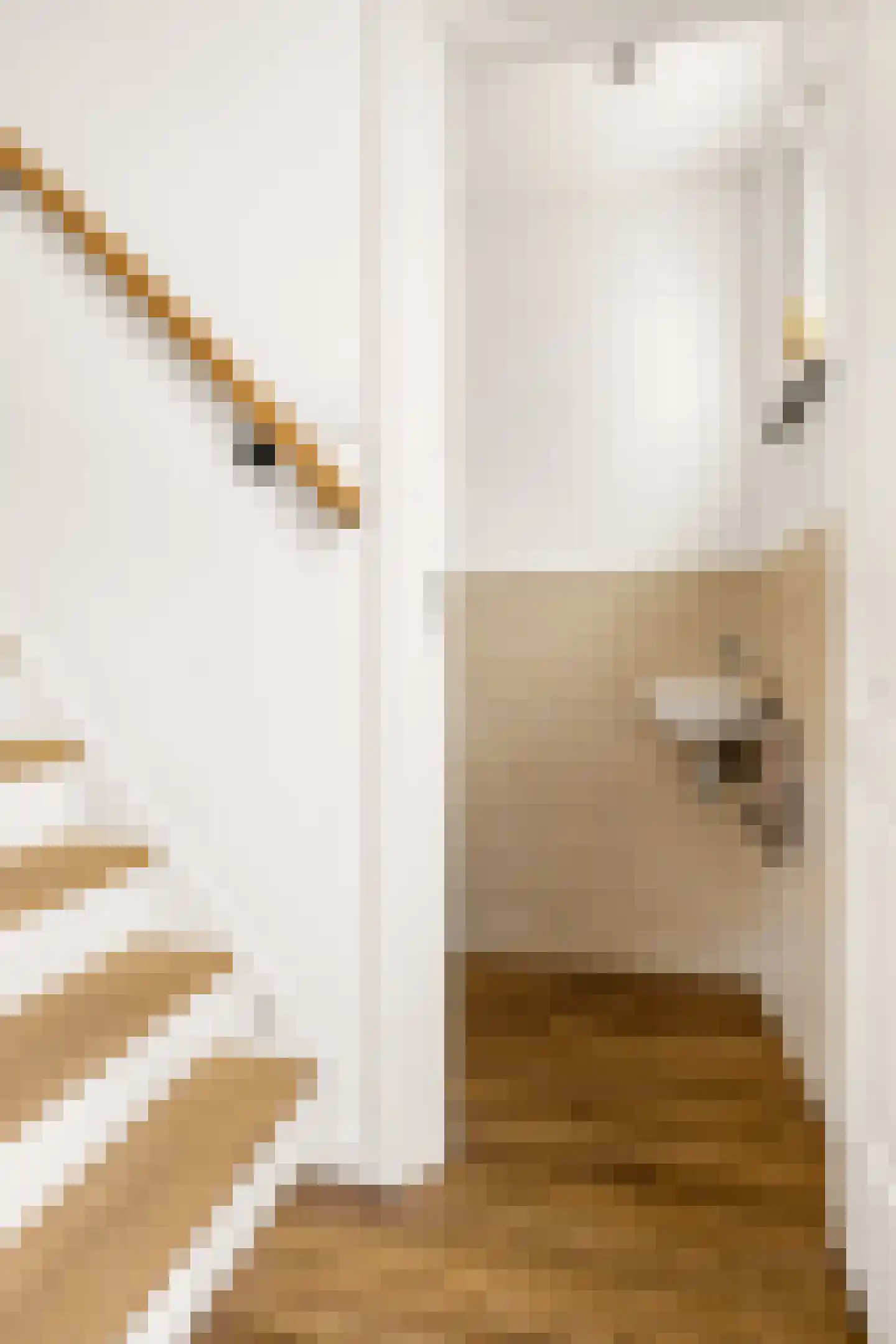 Van Hogendorpstraat 93 Tilburg thumbnail 9