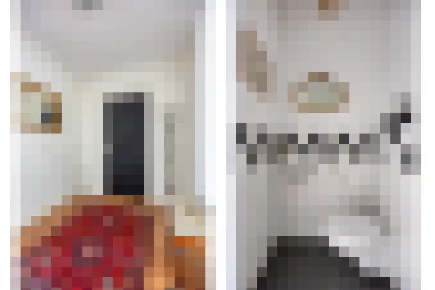 Van Hogendorpstraat 93 Wassenaar thumbnail 9