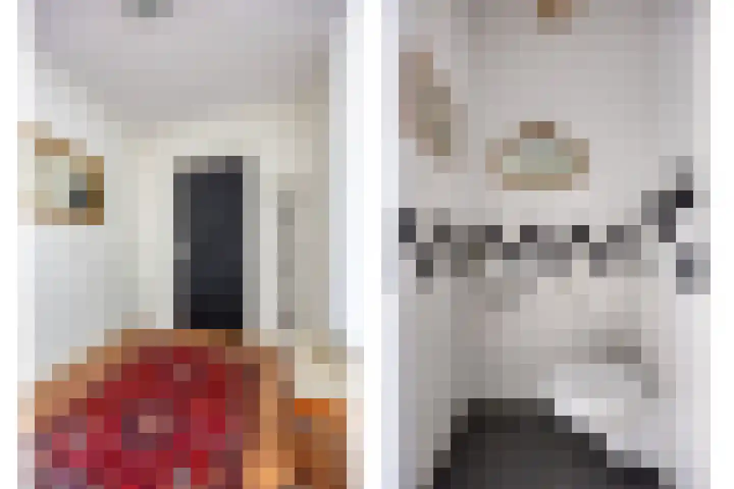 Van Hogendorpstraat 93 Wassenaar thumbnail 9
