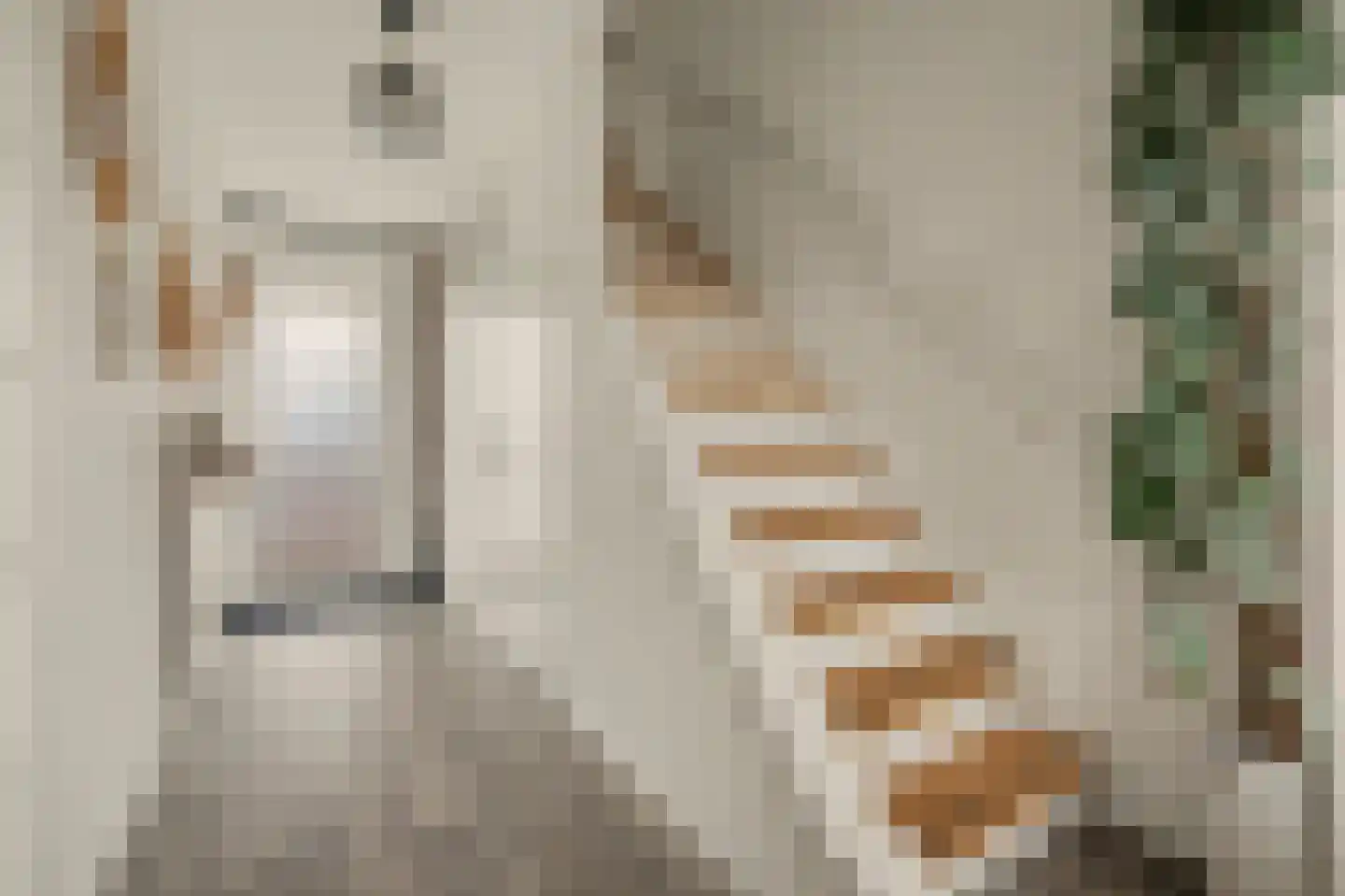 Van Hogendorpweg 110 Vlissingen thumbnail 7