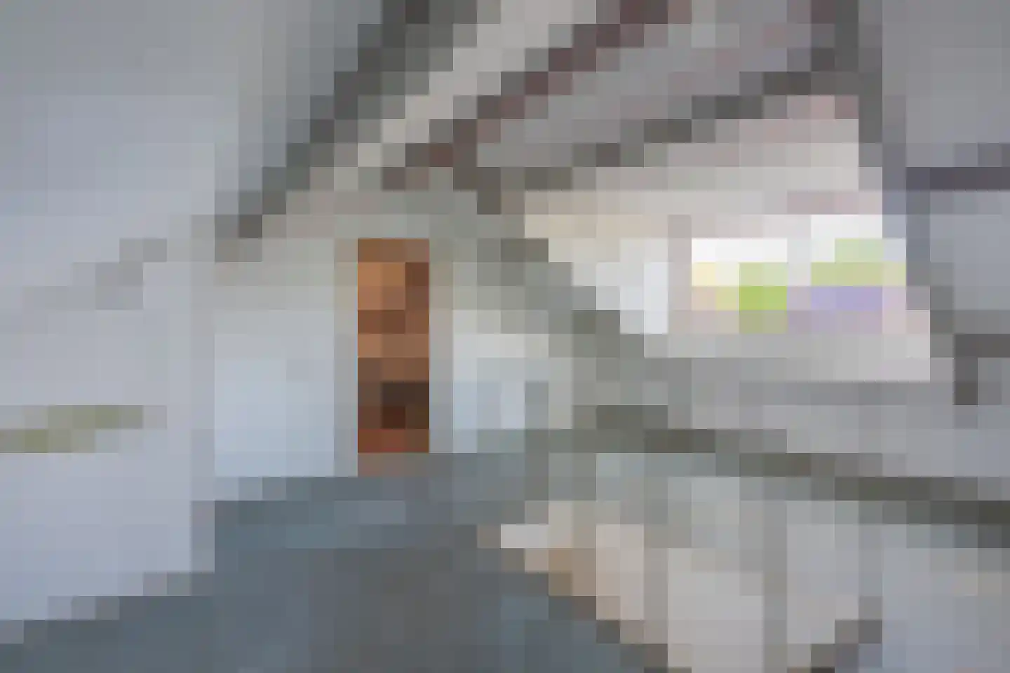 Van Hogendorpweg 166 Vlissingen thumbnail 37