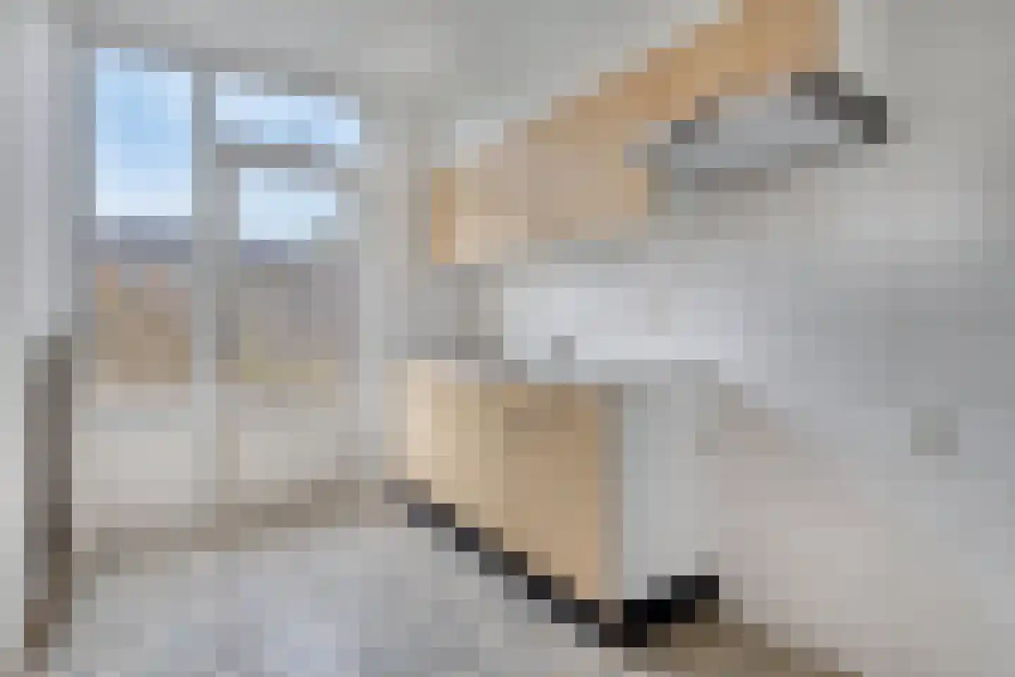 Van Hogendorpweg 32 Vlissingen thumbnail 5