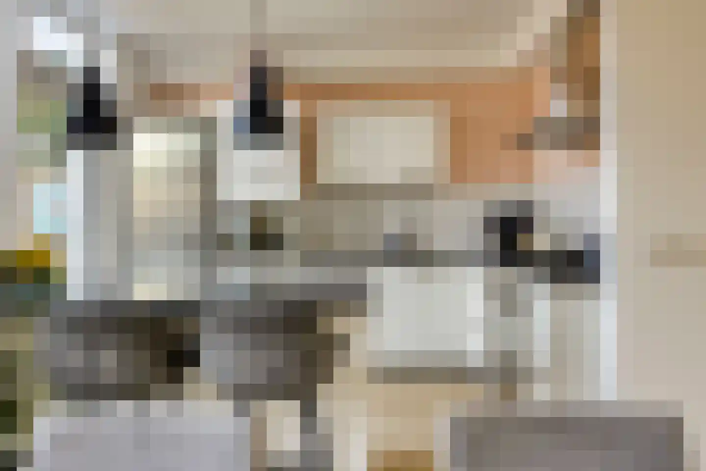 Van Hogendorpweg 40 Vlissingen thumbnail 12