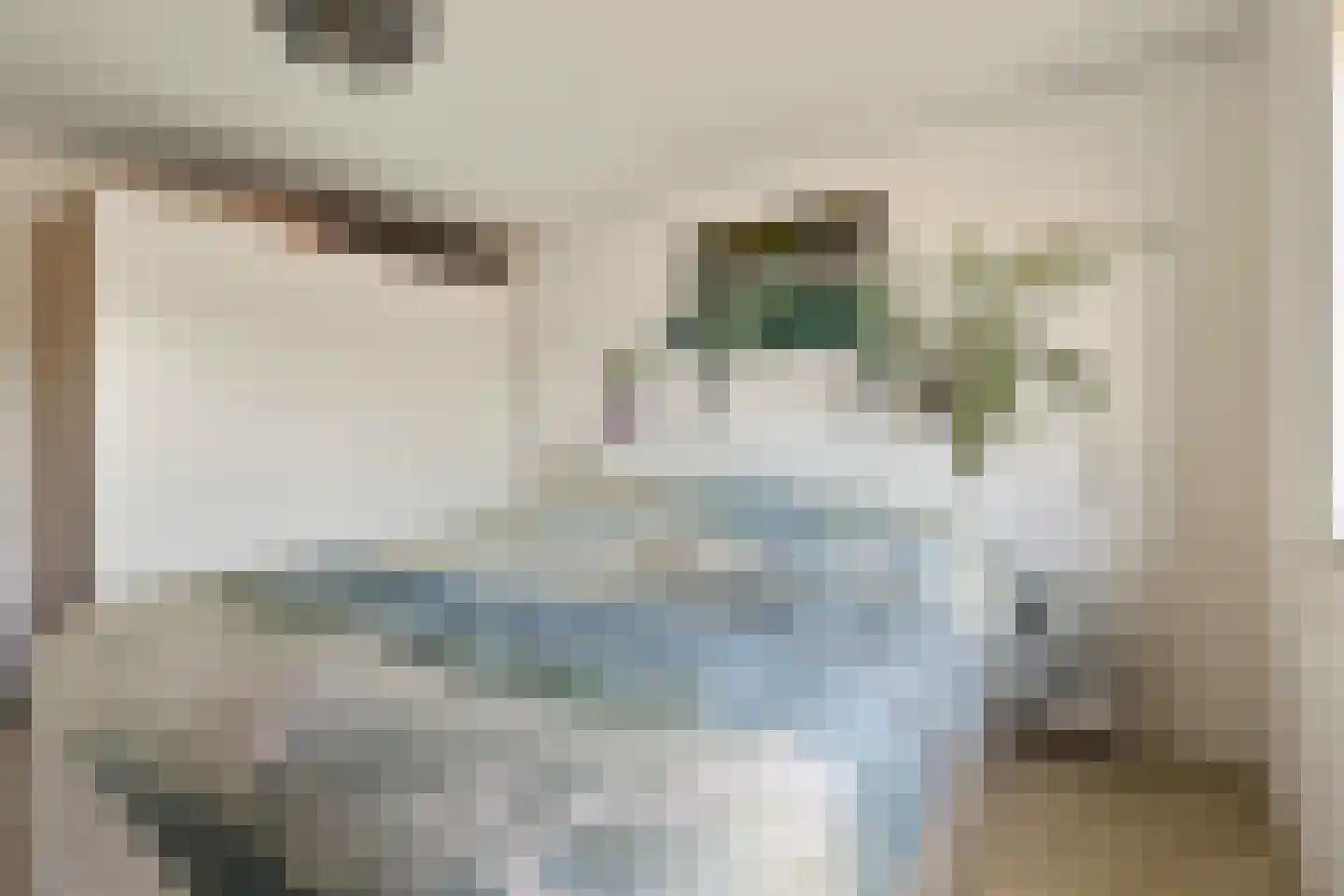 Van Hogendorpweg 40 Vlissingen thumbnail 18