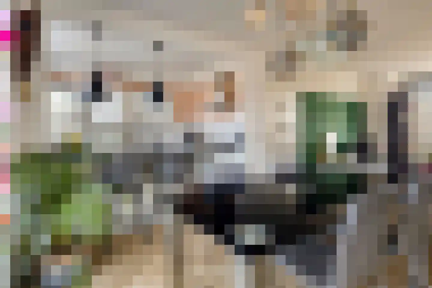 Van Hogendorpweg 40 Vlissingen thumbnail 9