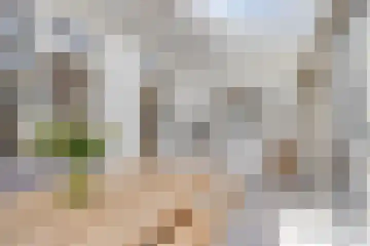 Van Hogendorpweg 6 Vlissingen thumbnail 10
