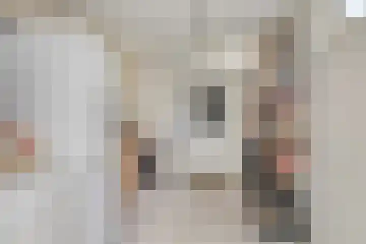 Van Hogendorpweg 6 Vlissingen thumbnail 13