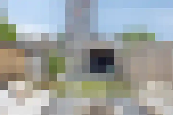 Van Hogendorpweg 6 Vlissingen thumbnail 31