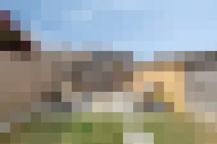 Van Hogendorpweg 6 Vlissingen thumbnail 35