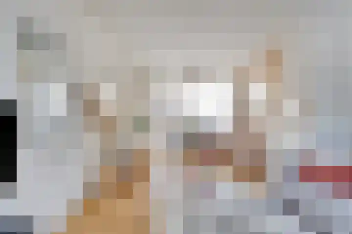 Van Hogendorpweg 6 Vlissingen thumbnail 6