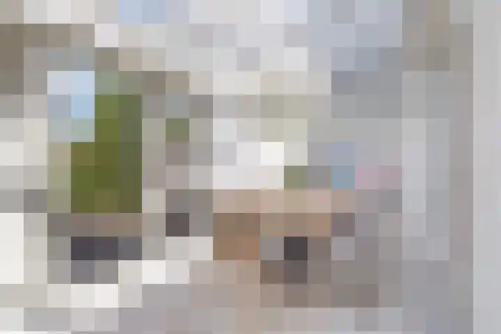 Van Hogendorpweg 6 Vlissingen thumbnail 8