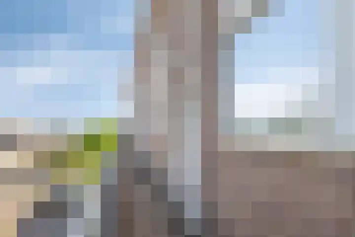 Van Hogendorpweg 80 Vlissingen thumbnail 6