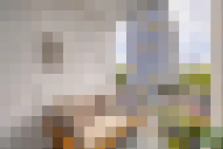 Van Hogendorpweg 82 Vlissingen thumbnail 19