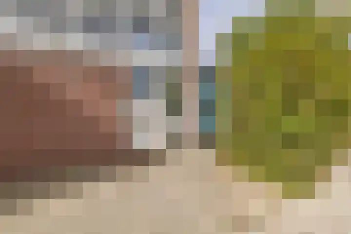 Van Hogendorpweg 82 Vlissingen thumbnail 5