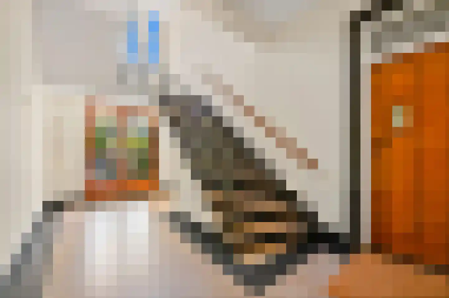Van Hogenhoucklaan 10 A Den Haag thumbnail 6