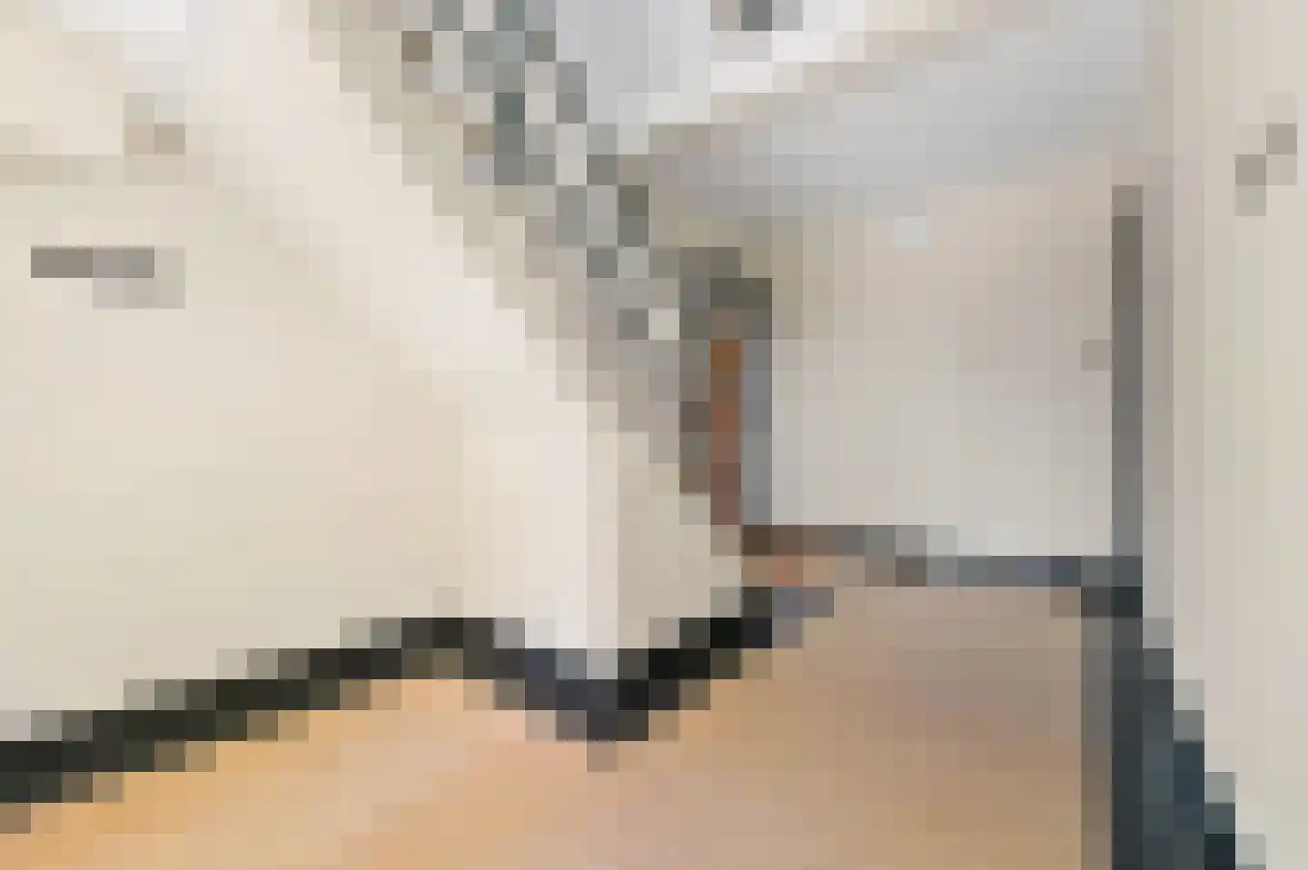 Van Hogenhoucklaan 10 A Den Haag thumbnail 7