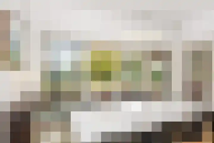Van Hogenhoucklaan 40 Den Haag thumbnail 13