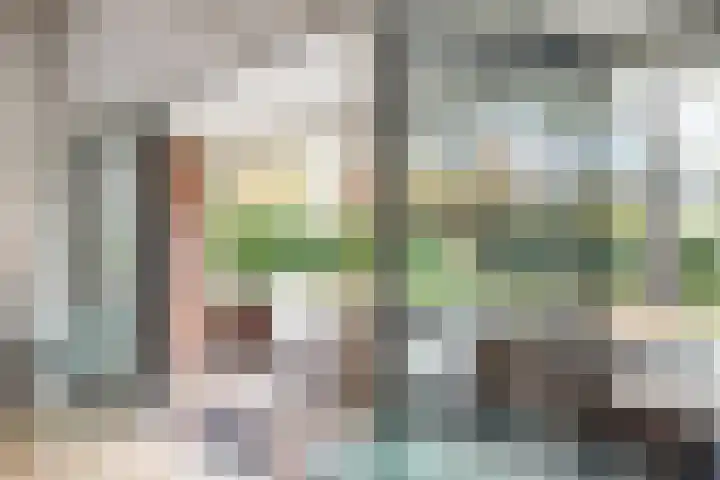 Van Hogenhoucklaan 40 Den Haag thumbnail 15