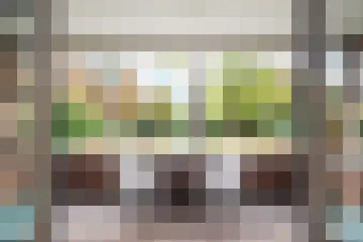 Van Hogenhoucklaan 40 Den Haag thumbnail 16