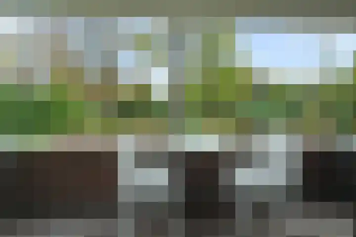 Van Hogenhoucklaan 40 Den Haag thumbnail 17