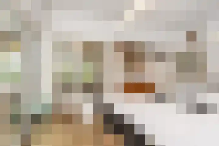 Van Hogenhoucklaan 40 Den Haag thumbnail 27