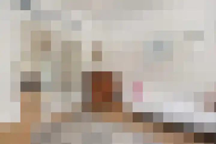 Van Hogenhoucklaan 40 Den Haag thumbnail 31