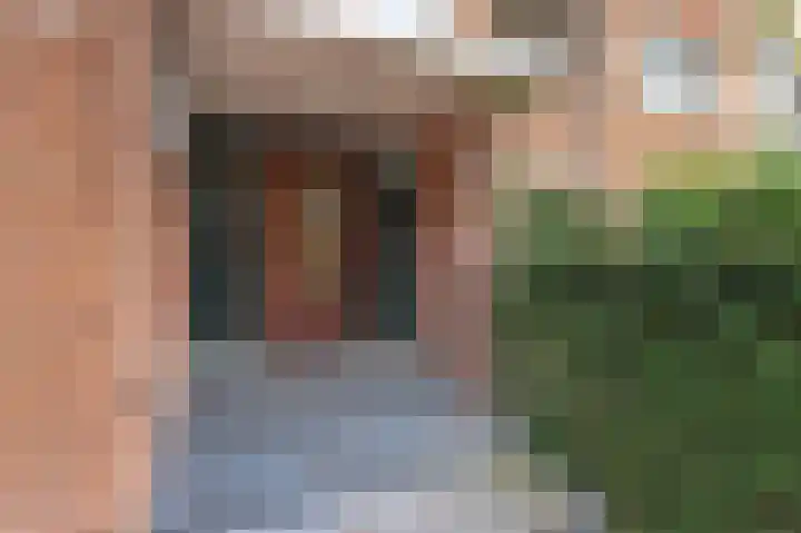 Van Hogenhoucklaan 40 Den Haag thumbnail 5