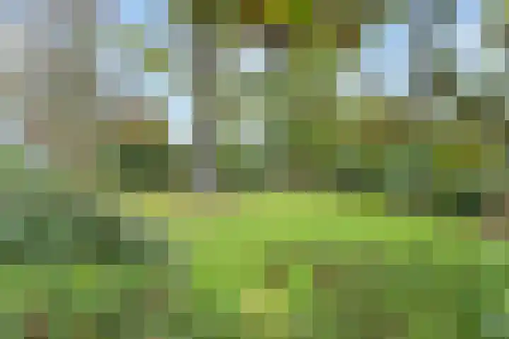 Van Hogenhoucklaan 40 Den Haag thumbnail 59