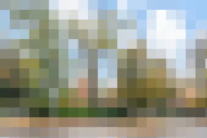 Van Hogenhoucklaan 40 Den Haag thumbnail 60