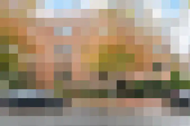 Van Hogenhoucklaan 40 Den Haag thumbnail 63